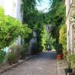 Rue végétalisée