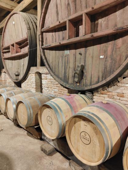 Production du vin dans le château