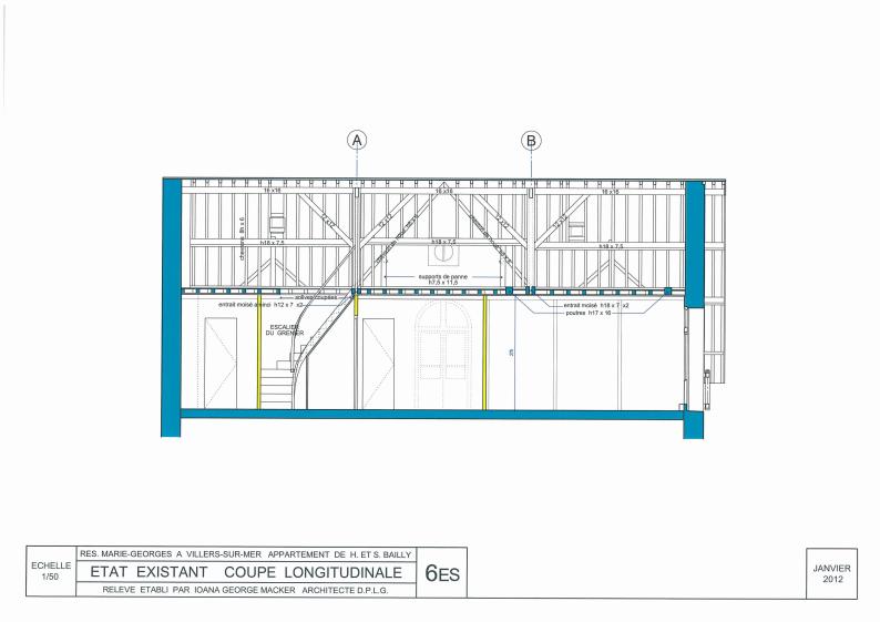 Coupe longitudinale avant travaux