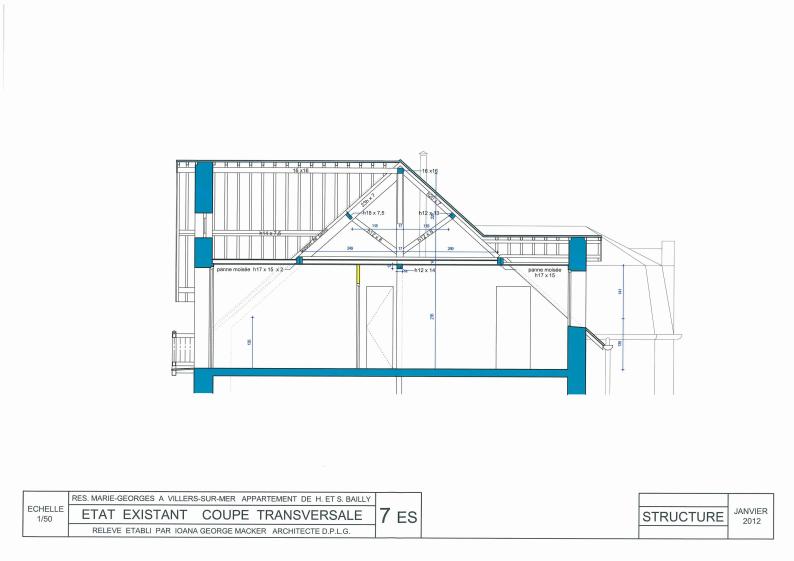 Coupe transversale avant travaux