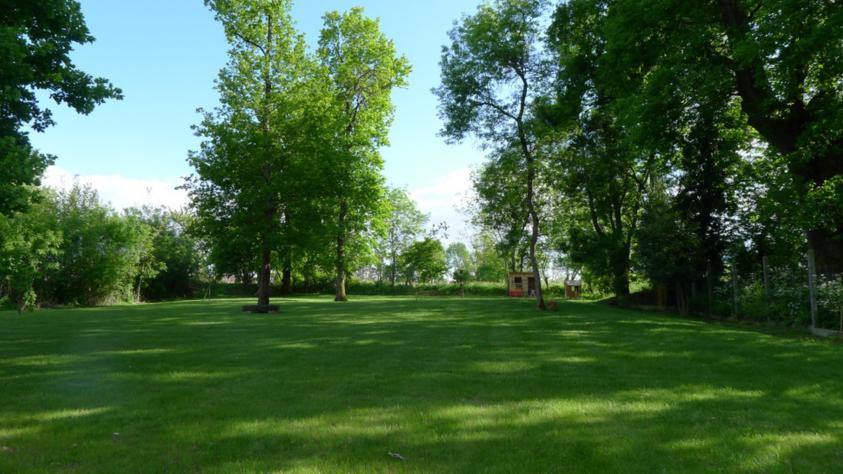 Vue du parc depuis la piscine et la maison existante.