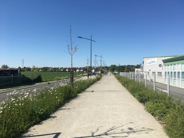 img_1518.jpg img_1518.jpg