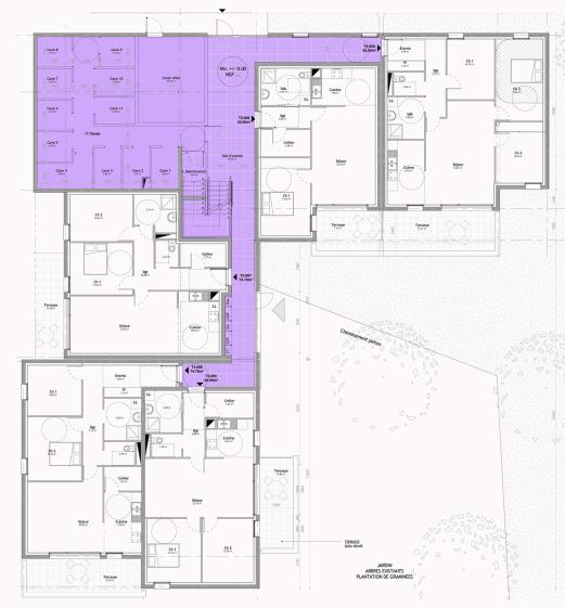 Plan du rez-de-chaussée des logements collectifs