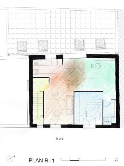 Plan schéma du R+1 - espaces dominants / circulation