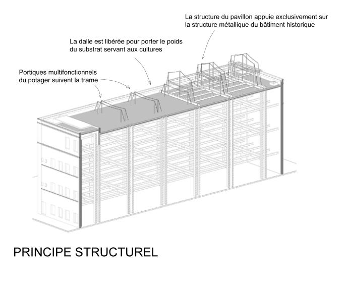 botanic_structure.jpg