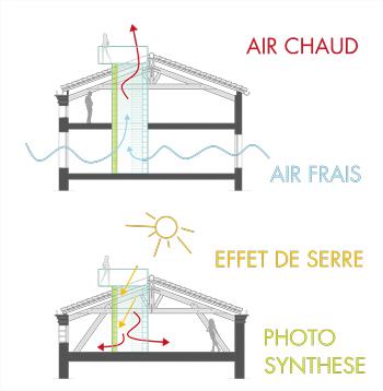 coupes-charpentes.jpg