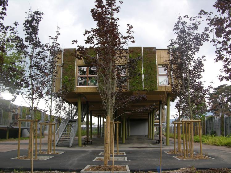 l'école se projète dans le parc environnant