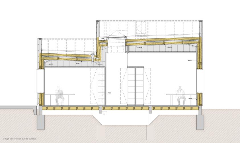 Bureaux SCI CAPI - Coupe transversale