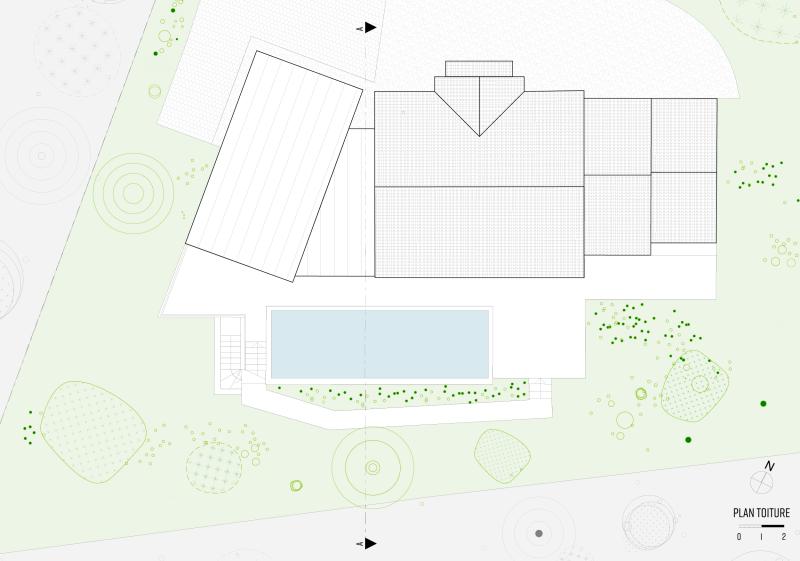 fgaudin-diagonal-extension-zinc-plan-masse.jpg