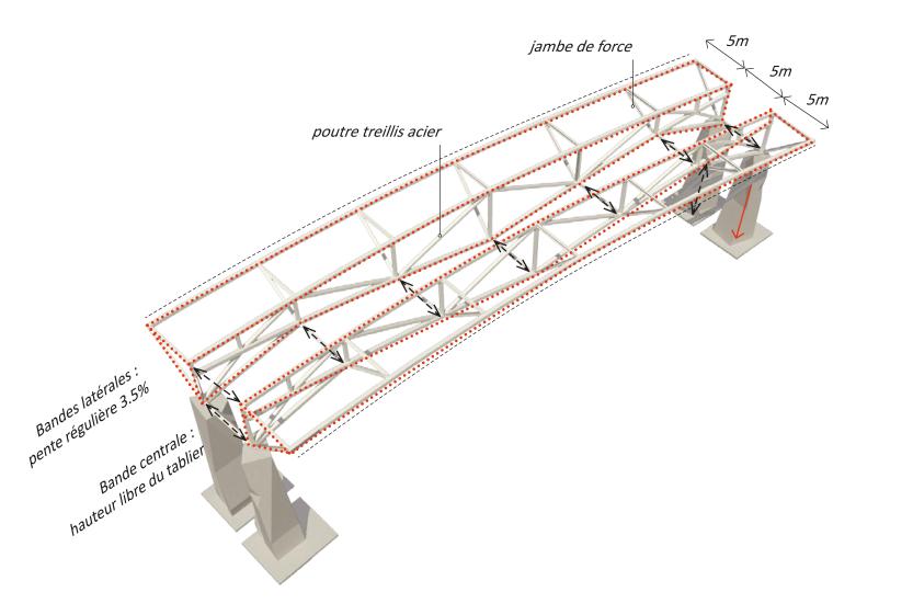 fg-halo-structure.jpg