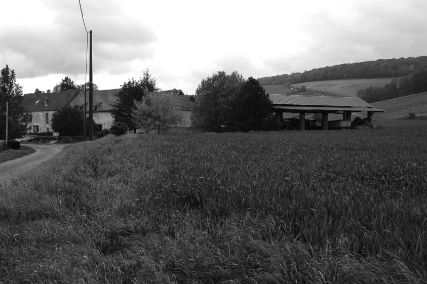 secteur Condé-en-Brie, construction maison, existant jardin