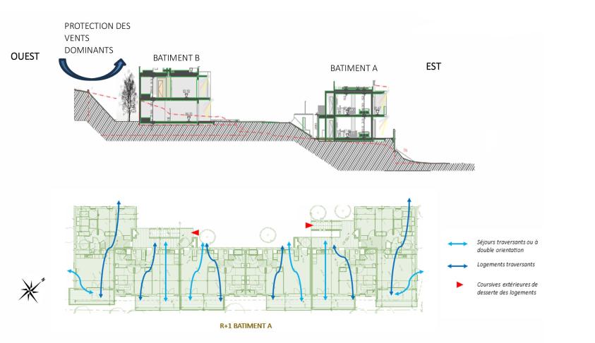 Logements travaersants 