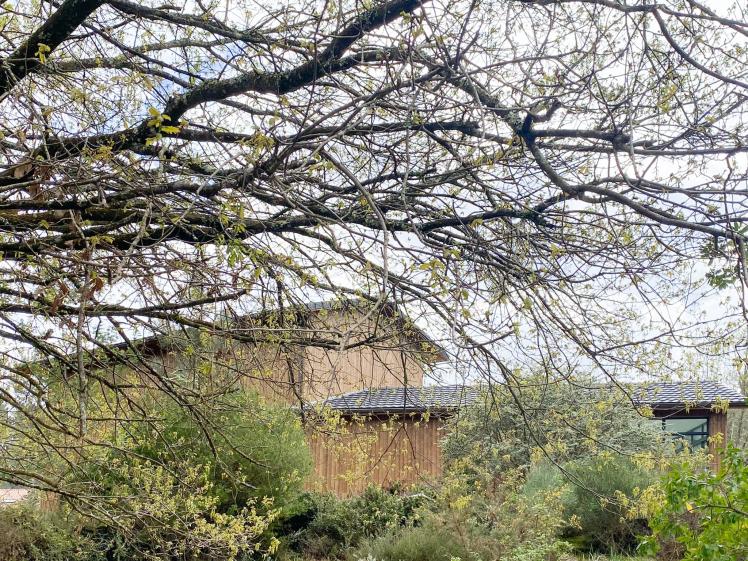 la maison dans son environnement, la forêt