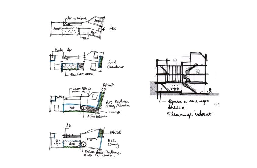 Construction d'une maison de ville - Phase esquisse - Plans