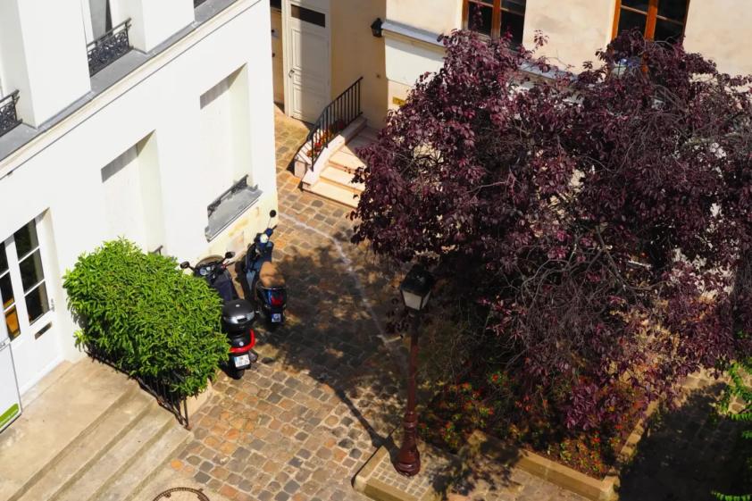 cour de l'immeuble