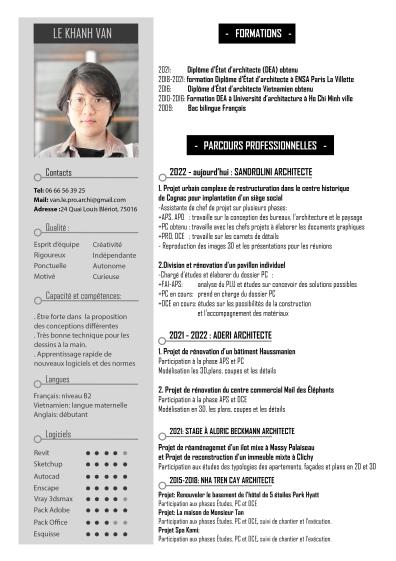 curriculum vitae
