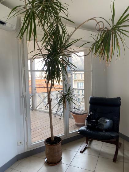 Vue sur la terrasse commune