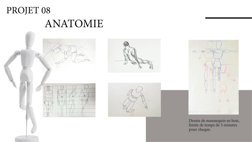 page 9 - ANATOMIE