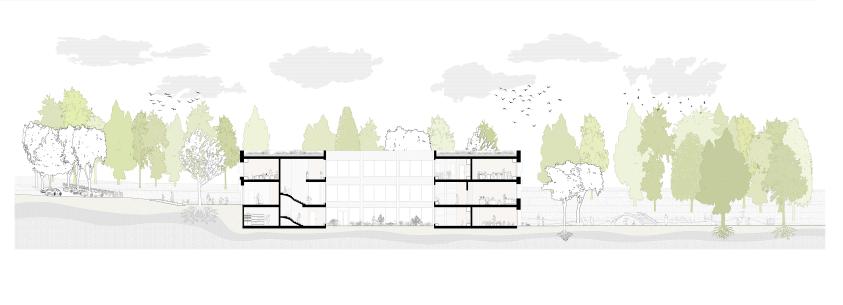 Coupes transervales - Réhabilitation d'anciens bureaux en école Montessori / Logiciels utilisés : Autocad+Photoshop
