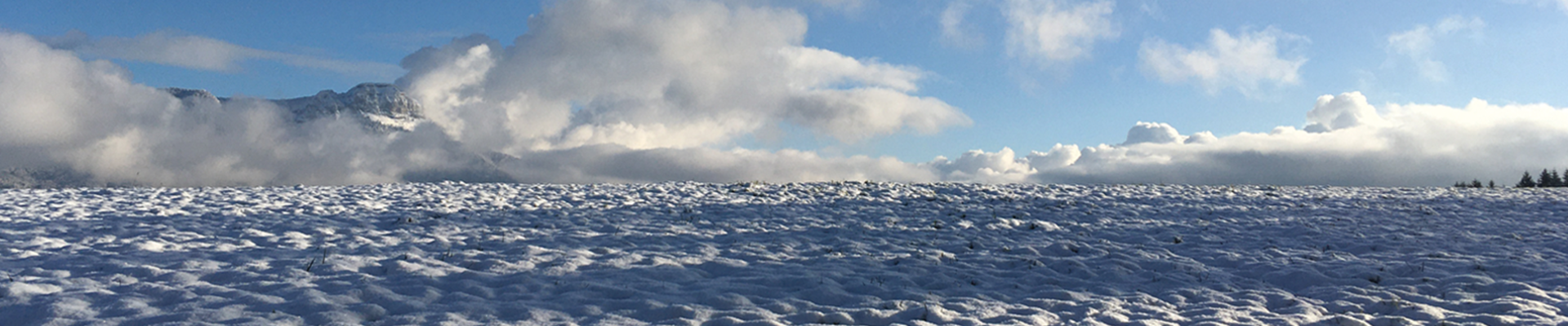 bandeau_2022_ok.png bandeau_2022_ok.png