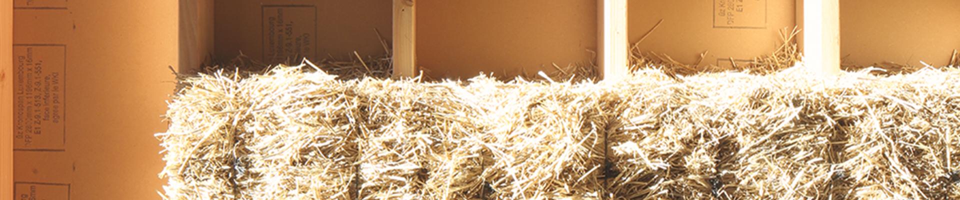 012_fon_divers_banniere.jpg 012_fon_divers_banniere.jpg