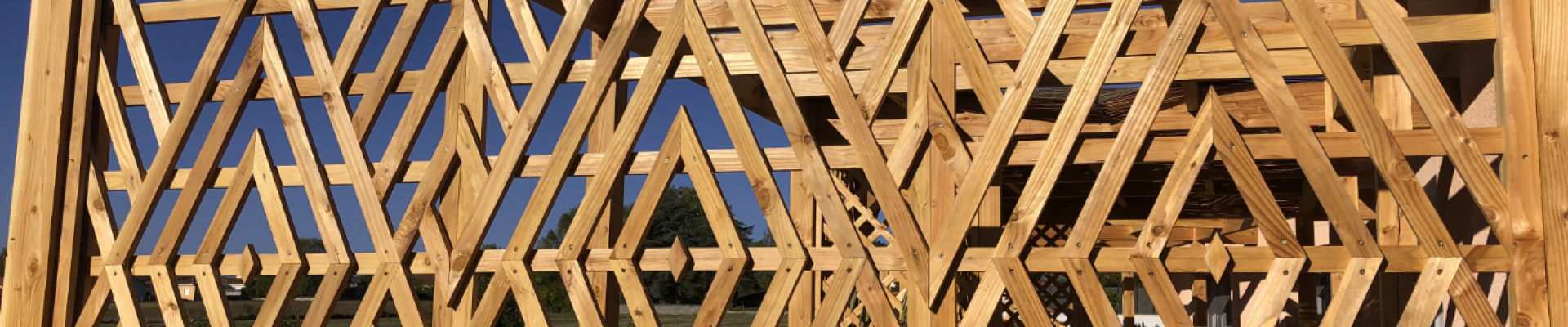 photo-treillis-pergola.png photo-treillis-pergola.png