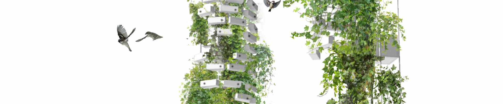 concours_embellir_paris_-_ring_studio_architecture.jpg concours_embellir_paris_-_ring_studio_architecture.jpg