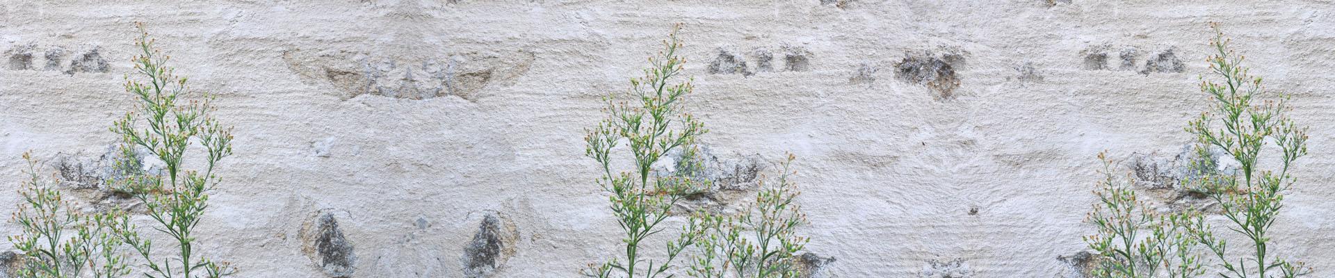 papiereint.jpg papiereint.jpg