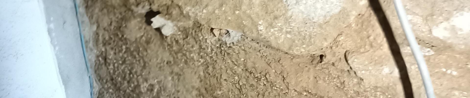 2022_01_20_26.jpg 2022_01_20_26.jpg