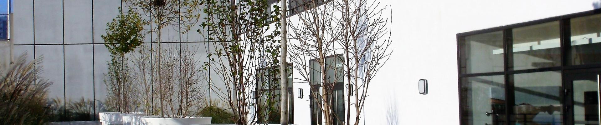 zdp_cour2.jpg zdp_cour2.jpg