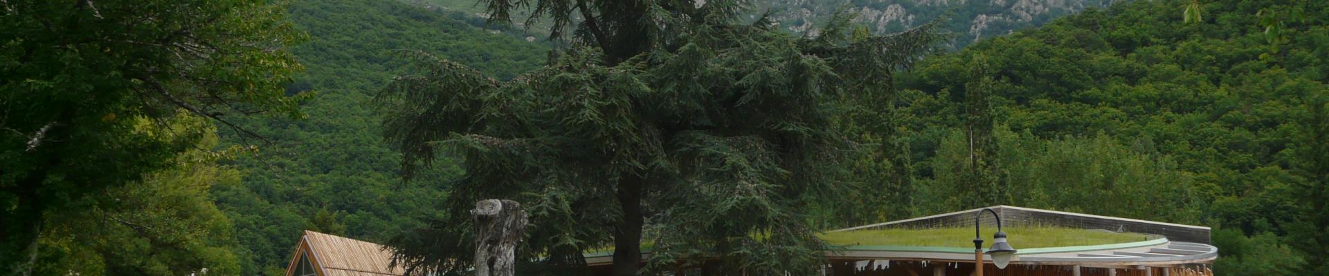 p1090317.jpg p1090317.jpg