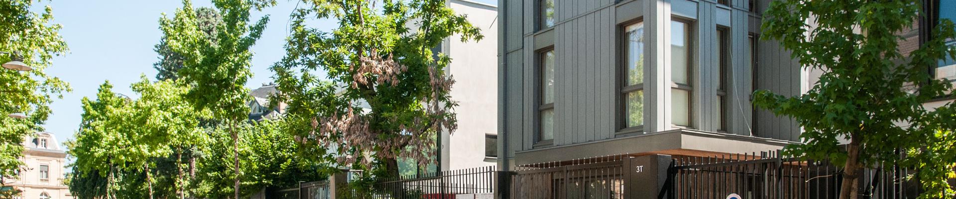 hikari_teisseire_06132021_16.jpeg hikari_teisseire_06132021_16.jpeg