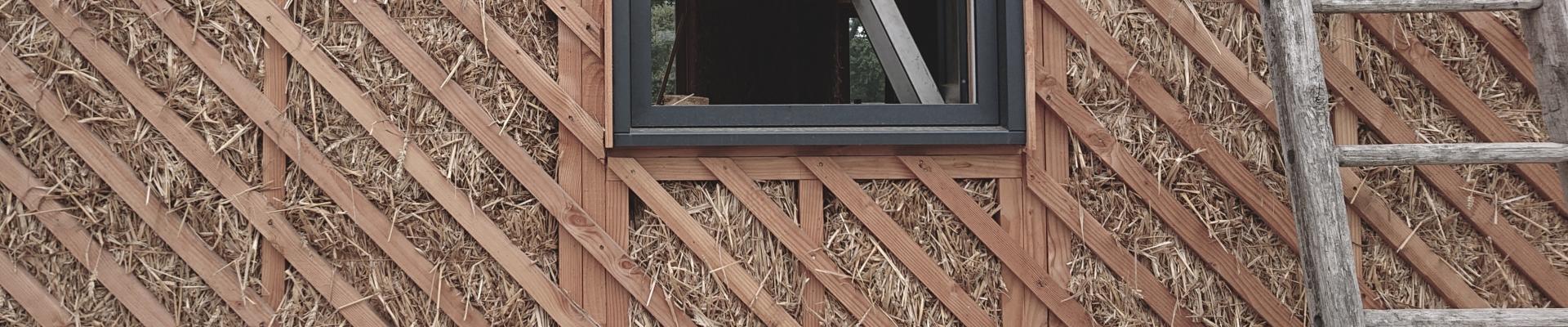 dsc_1102.jpg dsc_1102.jpg