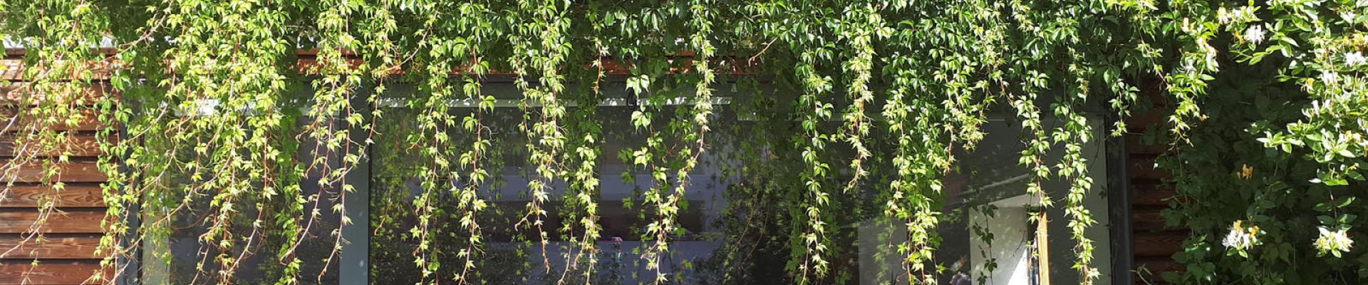 local2.jpg local2.jpg