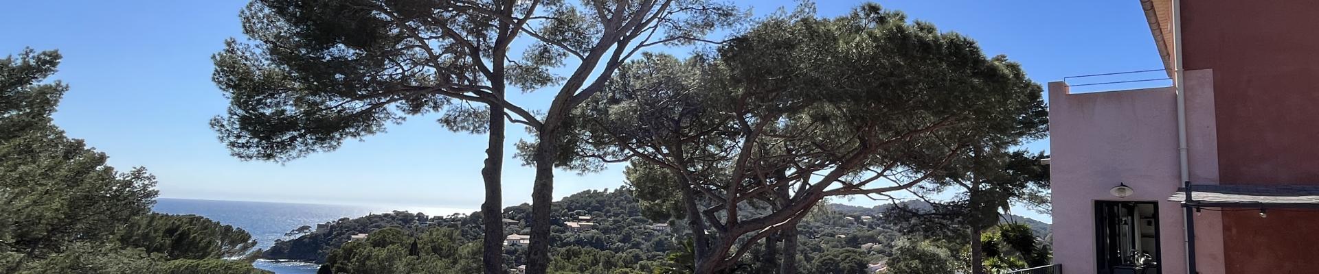 jolivet_img_2846.jpg jolivet_img_2846.jpg