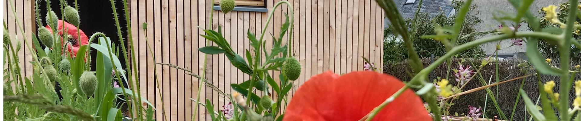 auto-construction en bois, terre et paille