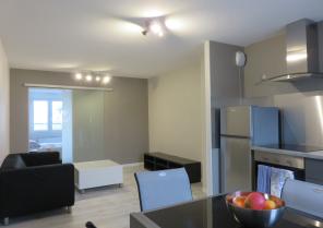 Rénovation appartement, séjour après travaux
