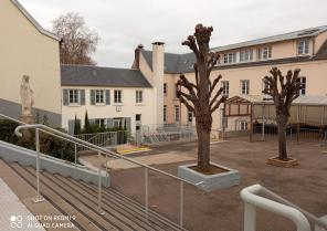 Mise aux normes de l'escalier de la cour