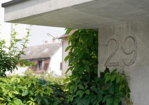 dsc_4564_m.jpg