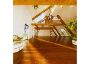combles_studio_echo_architecture_03-.jpg