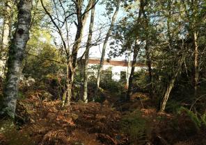 Rénovation de maison dans la forêt de fontainebleau