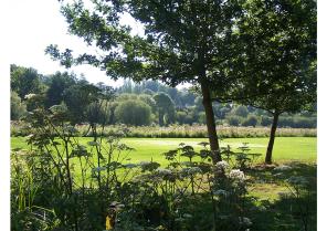 1ere_photo_site.jpg