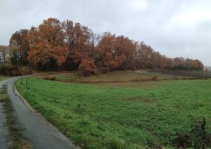 lsarchitecture_agencement_renovation_landes_pays_basques_gar_photo_edl_2.jpg