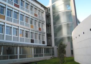 5neimg_5906.jpg