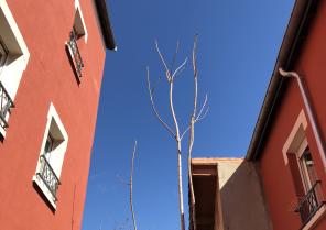 img_1972.jpg