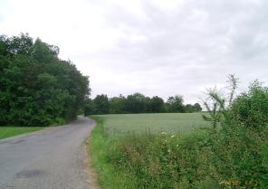 terrain.jpg