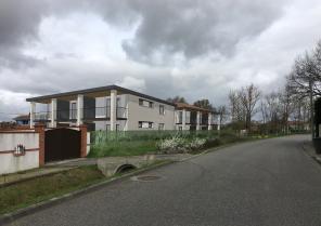 vue des collectifs