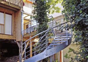 L'escalier autour de l'arbre