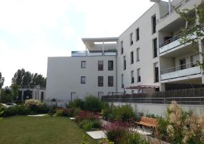 20130805_163311.jpg