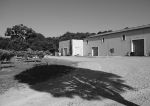 dscf9606.jpg